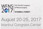 XVI. WFNS World